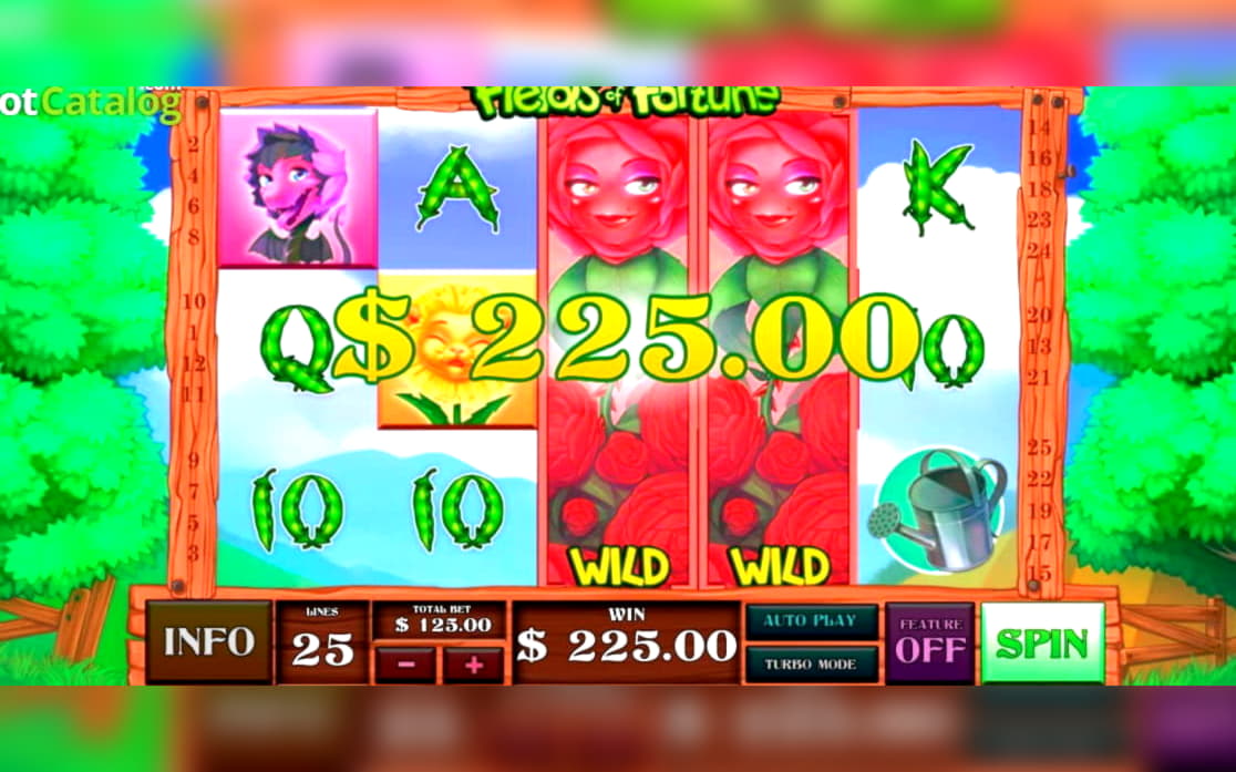 260% Best signup bonus casino at Hippozino Casino