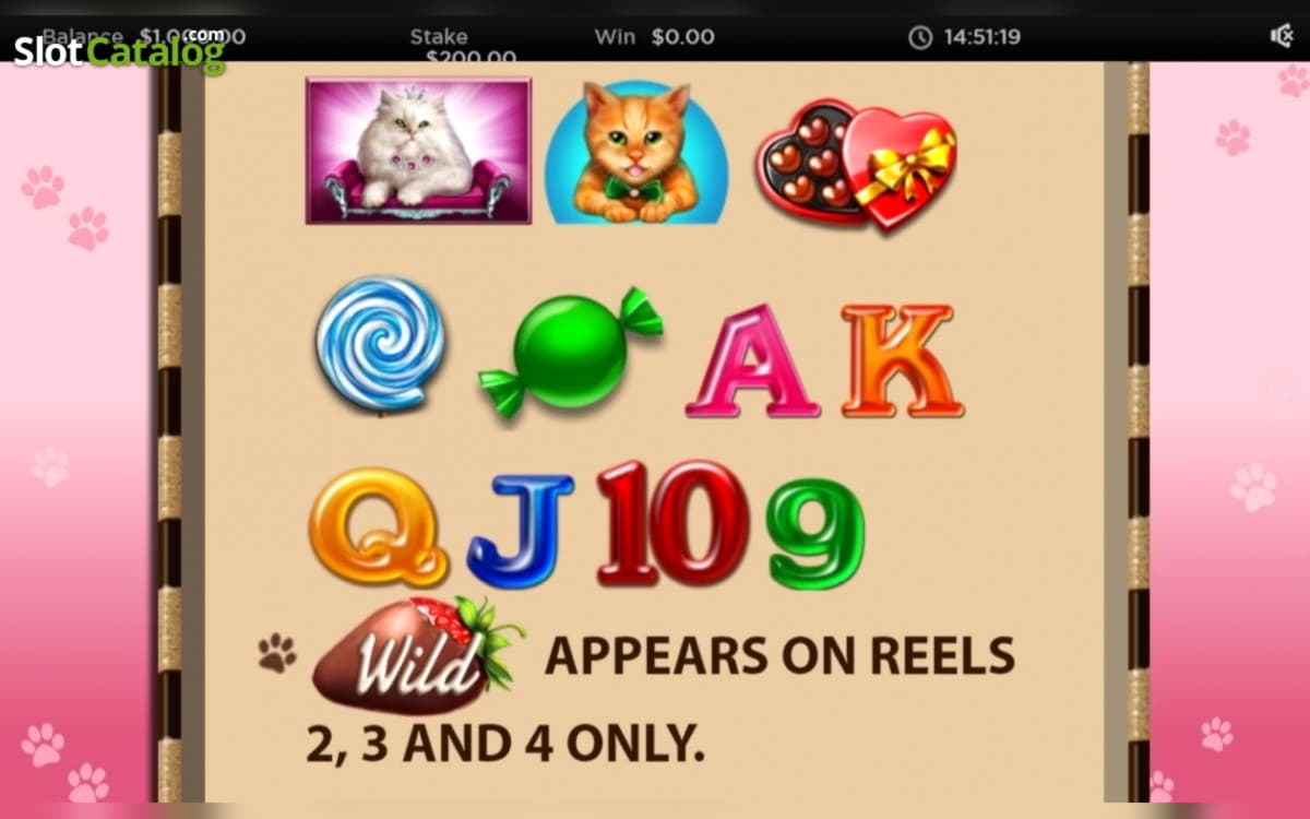 120% Signup Casino Bonus at Betnspin Casino