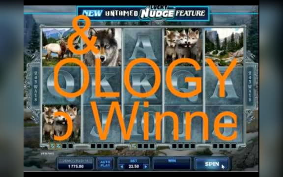 €350 no deposit bonus at Inter Casino