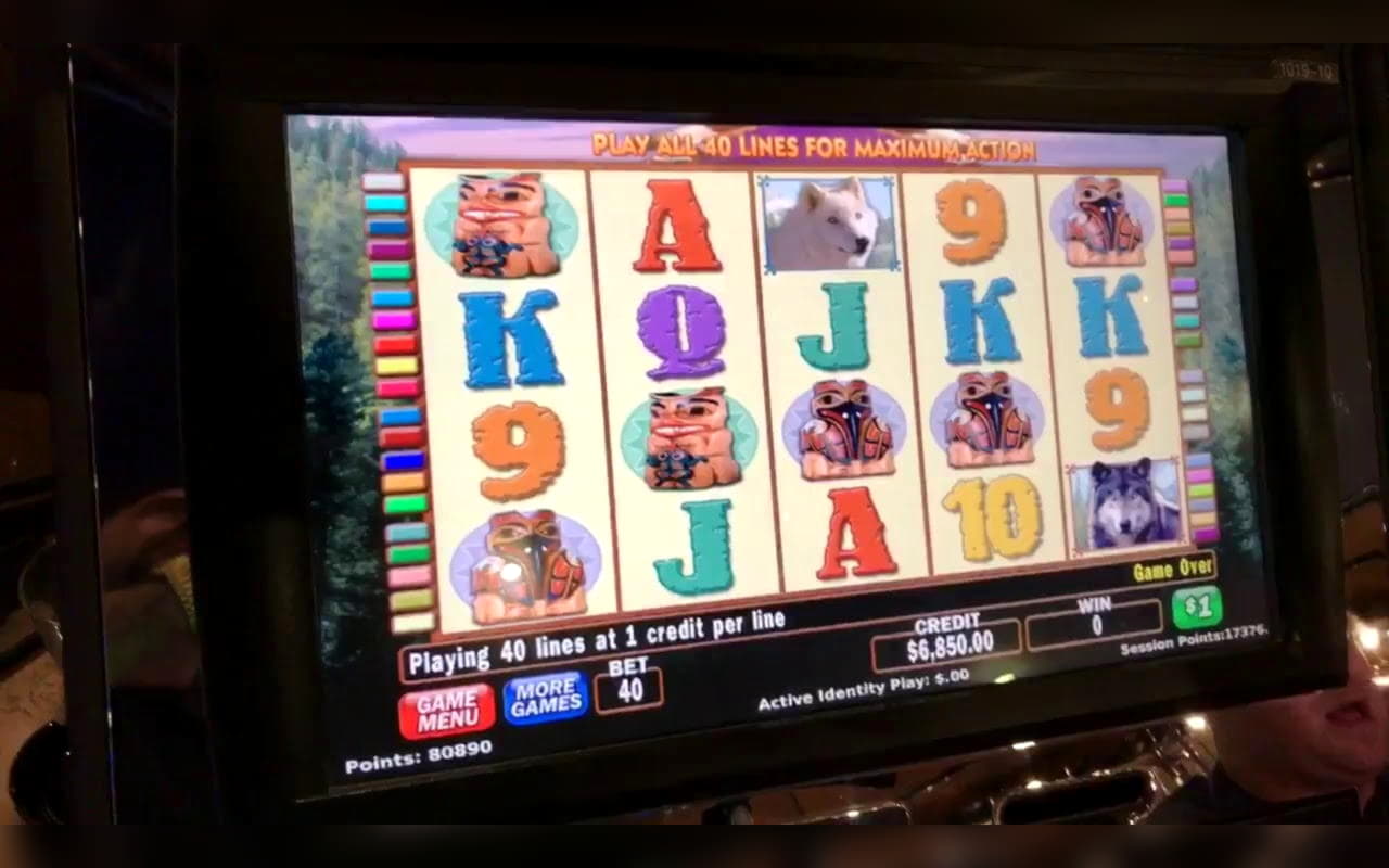 245 Free Spins no deposit at Leo Dubai Casino