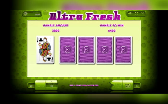 €600 FREE Casino Chip at Spin Palace Casino