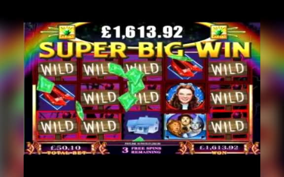 240 free spins casino at Casino Cruise