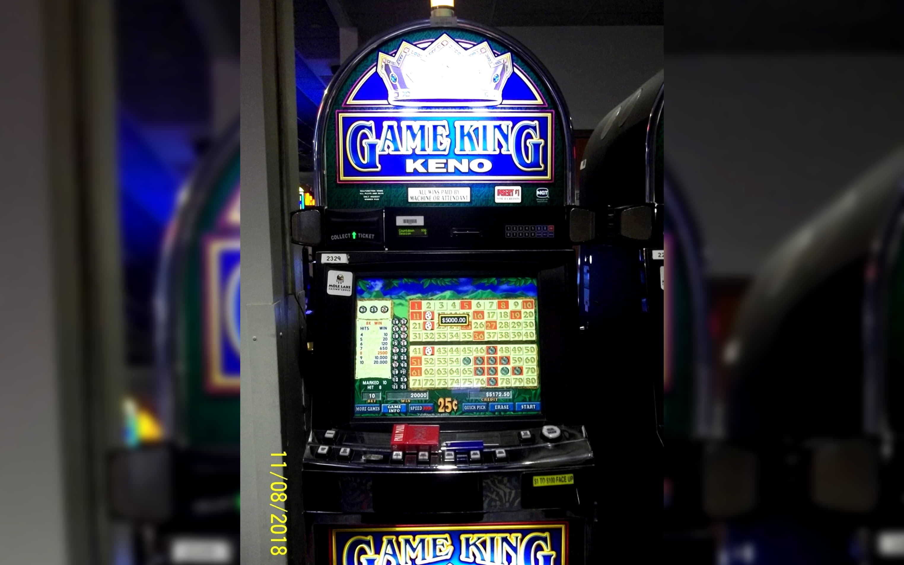 255% First deposit bonus at Casino Cruise