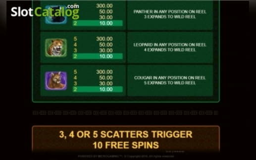 205 free spins casino at Dunder Casino