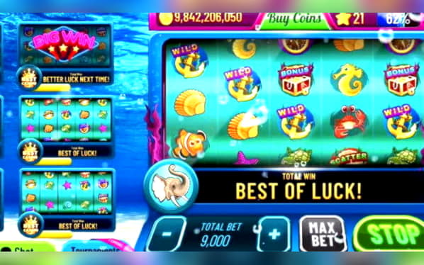 €4655 no deposit bonus at Hippozino Casino