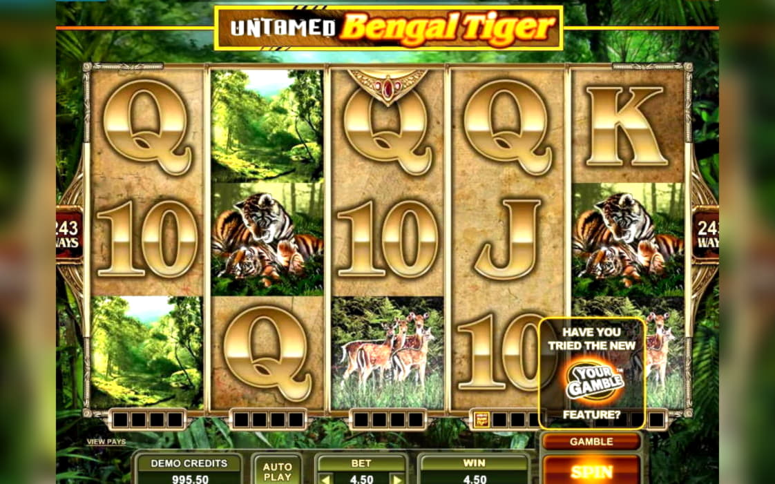 635% First Deposit Bonus at Dunder Casino