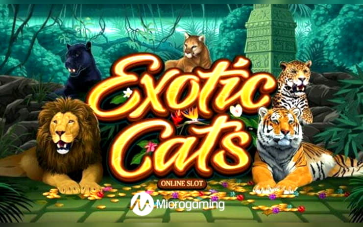 €175 FREE CHIP at Party Casino
