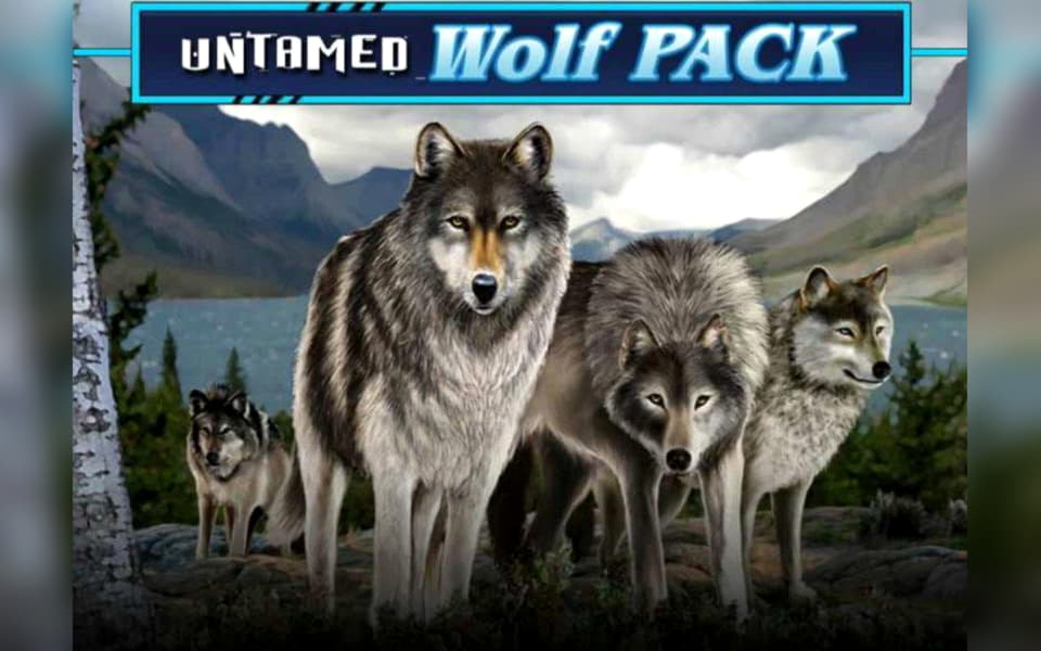 $335 FREE CHIP CASINO at Leo Dubai Casino