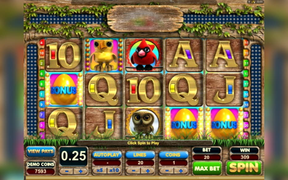 60 FREE SPINS at Casino Cruise