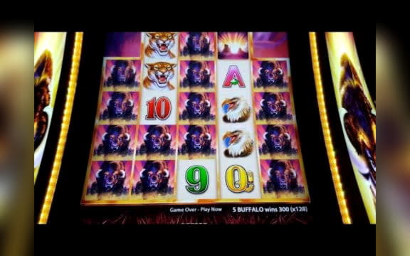 £615 Free Money at Spin Palace Casino
