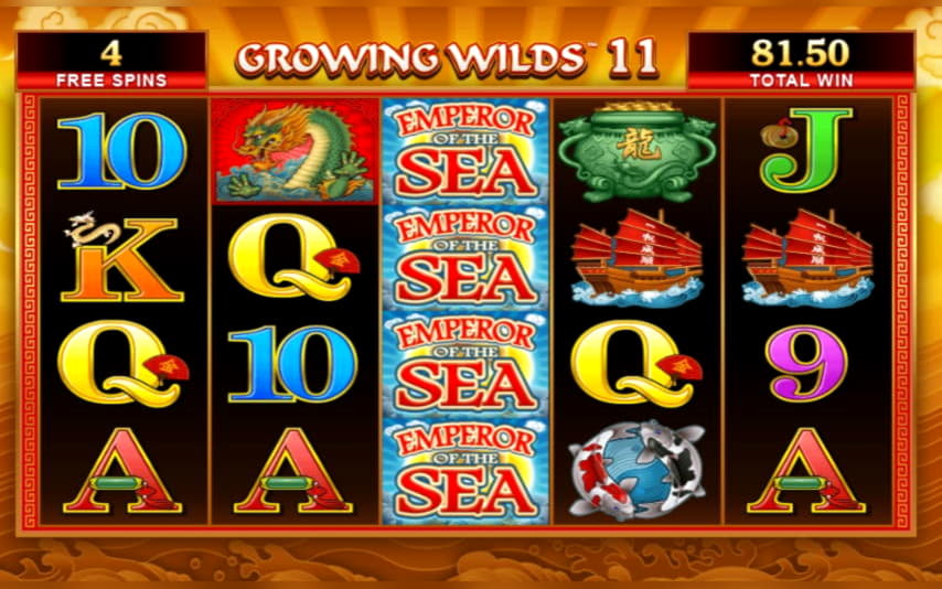 570% First Deposit Bonus at Hippozino Casino