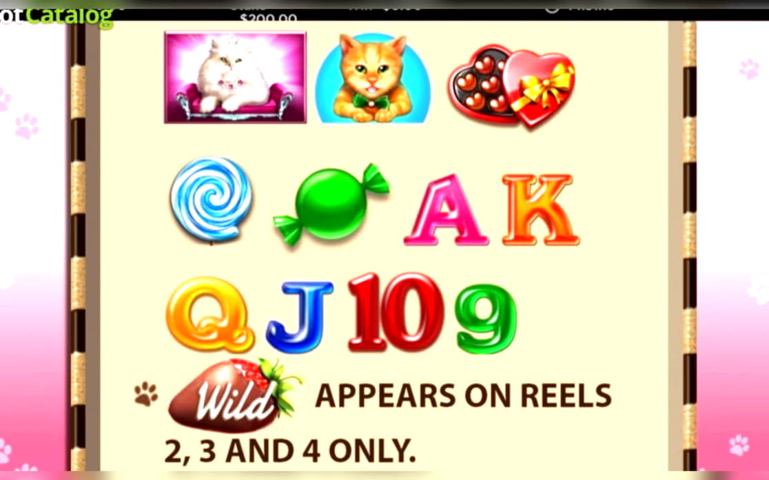 €435 Casino Tournament at Europa Casino