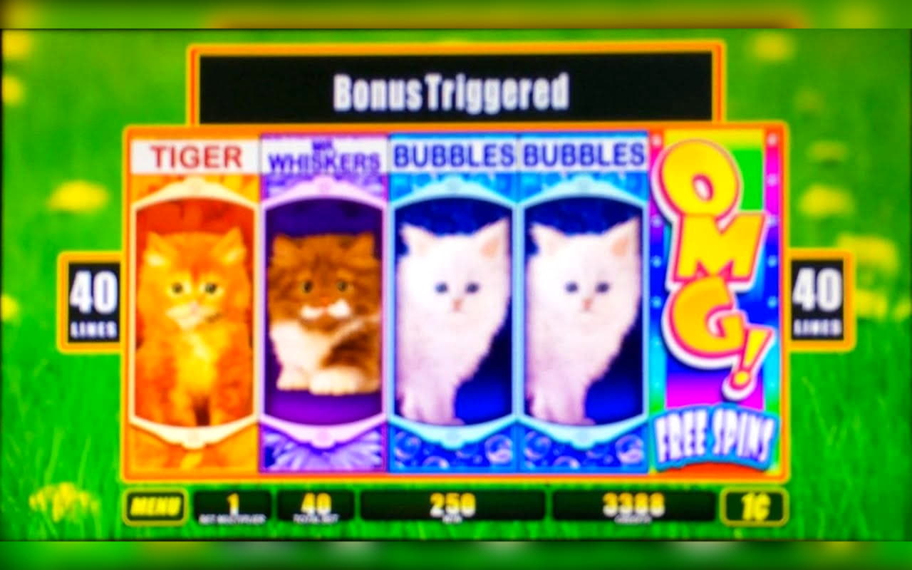 €920 Online Casino Tournament at Hippozino Casino