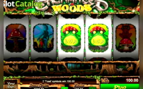 $255 no deposit bonus code at Casino Cruise