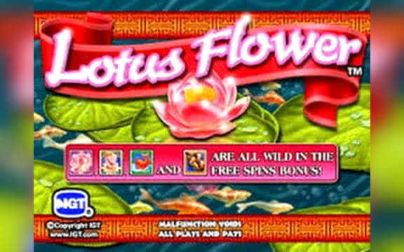 120 Free spins casino at 7 Reels Casino