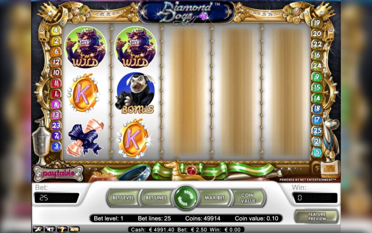 660% Signup Casino Bonus at Leo Dubai Casino