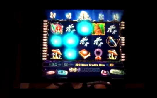 €3960 no deposit bonus casino at Vera and Jhon Casino