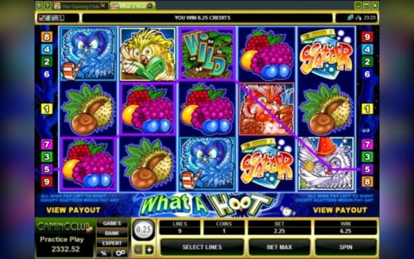 EURO 80 Casino tournaments freeroll at Alf Casino