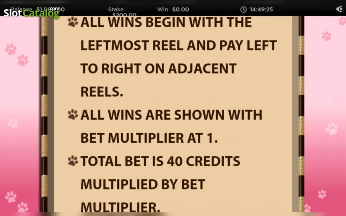 £730 Daily freeroll slot tournament at Rizk Casino