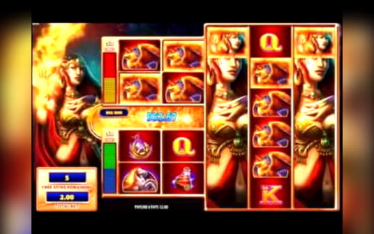 260 Free Spins no deposit casino at Rizk Casino