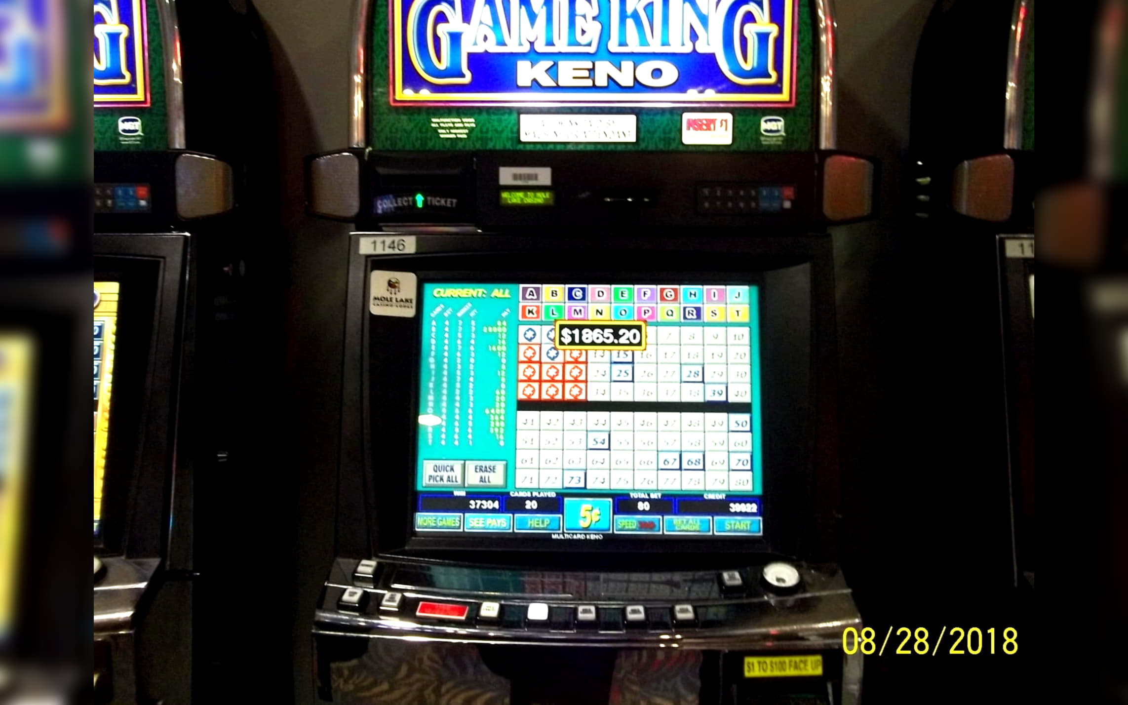 £995 Free Casino Tournament at Leo Dubai Casino