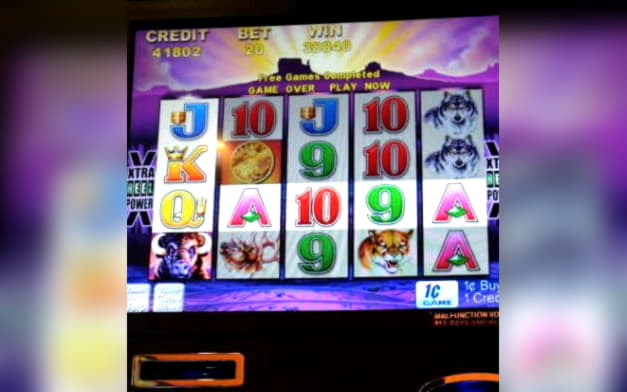 955% Signup Casino Bonus at Buzzluck Casino