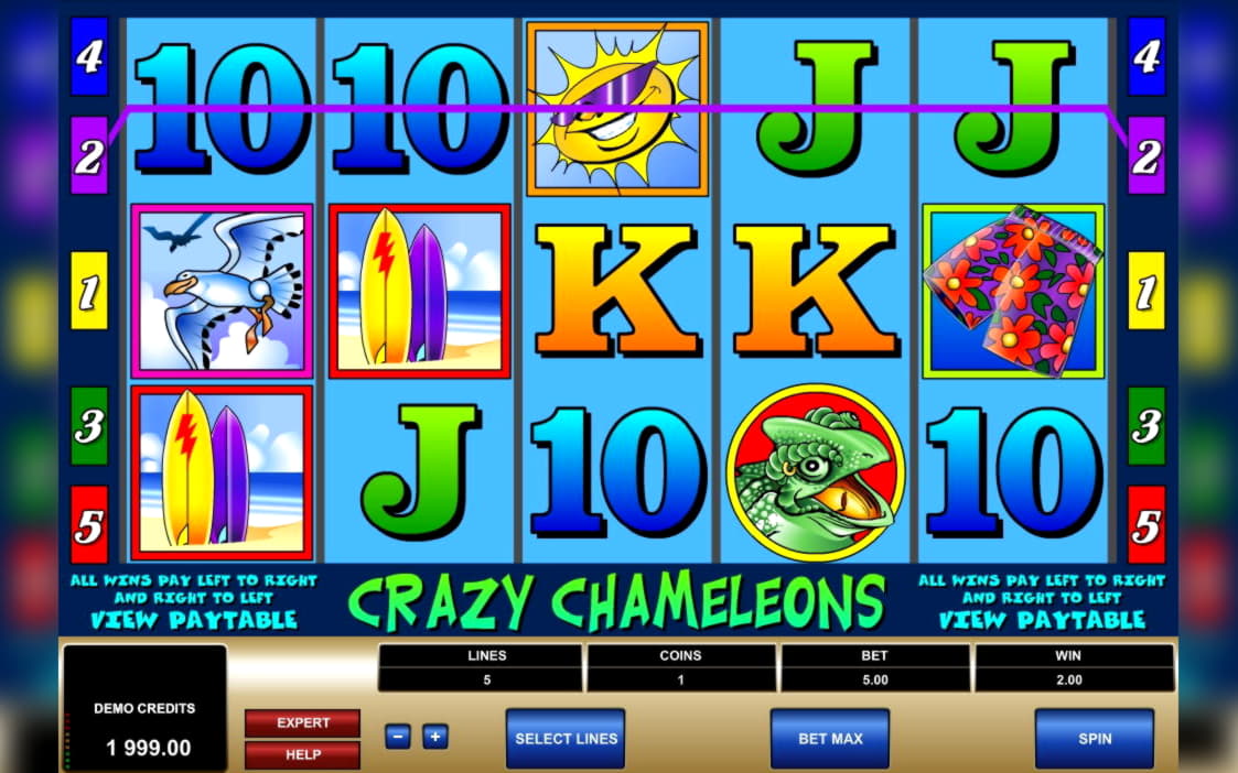 685% No Rules Bonus! at Leo Dubai Casino