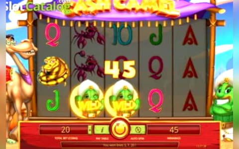 ﻿$190 FREE Casino Chip at 7 Reels Casino