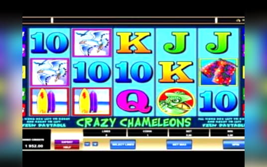 EURO 3260 No Deposit Casino Bonus at Guts Casino