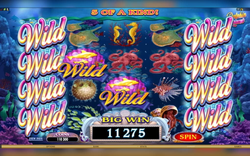 EUR 1325 No deposit bonus code at Casino Cruise