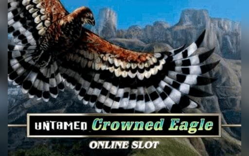 €835 Casino tournaments freeroll at Alf Casino