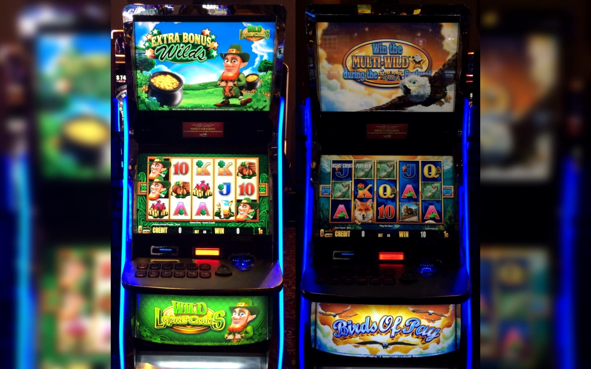 ﻿$795 no deposit at Vera and Jhon Casino