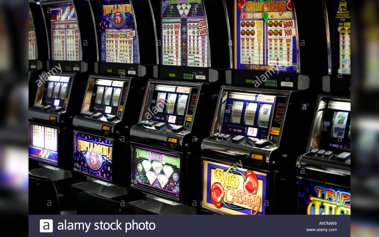 945% Best Signup Bonus Casino at Online Bets Casino