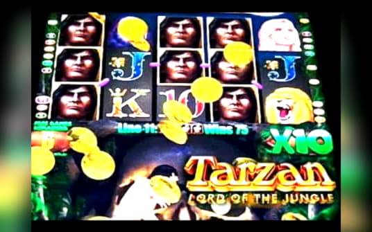 600% No Rules Bonus! at Hippozino Casino