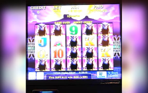 625% Casino Welcome Bonus at Casino com