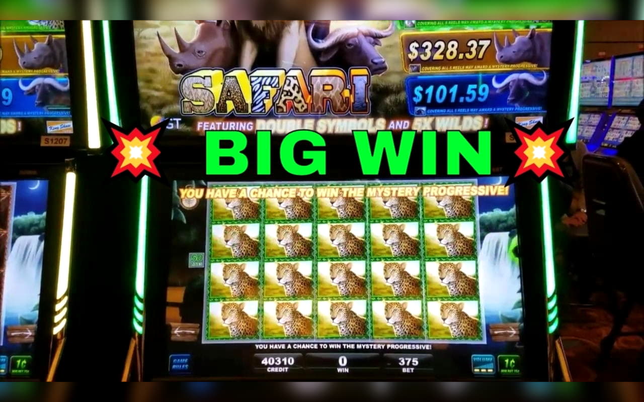 265 Loyalty Free Spins! at Leo Vegas Casino