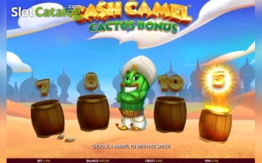 405% Best Signup Bonus Casino at Rizk Casino