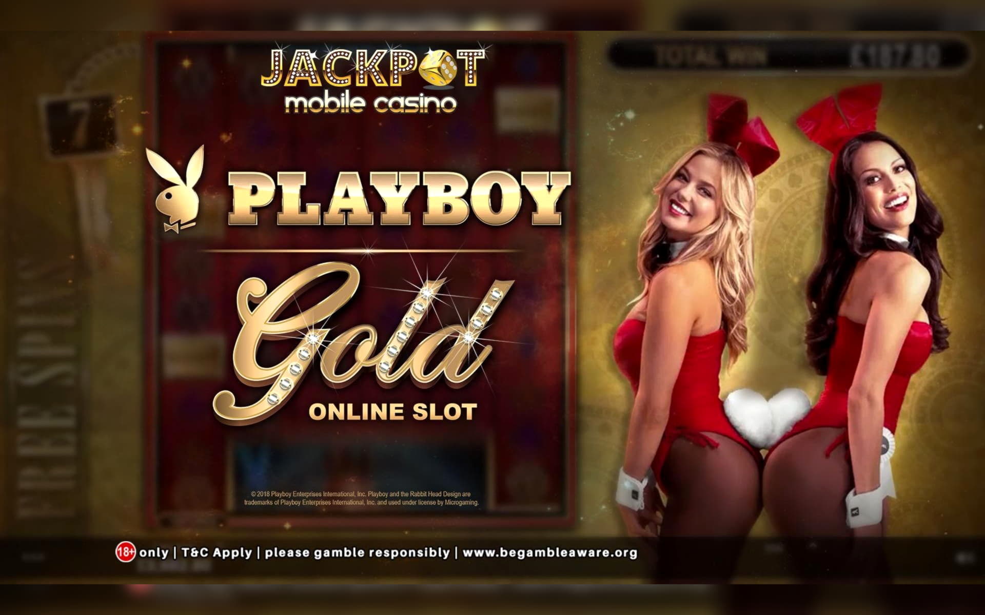 EURO 430 Free chip casino at BGO Casino