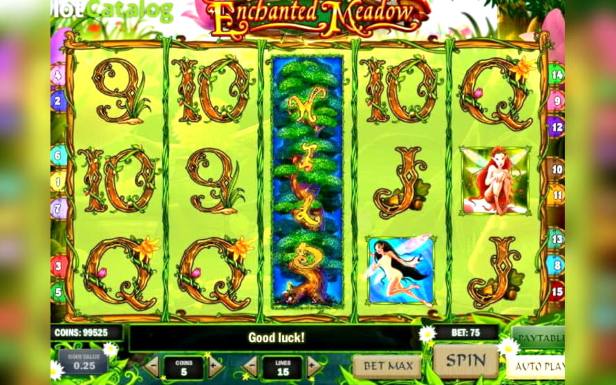 765% Casino match bonus at Leo Dubai Casino