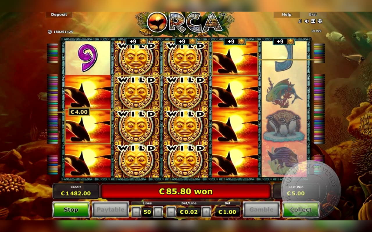 €465 Daily freeroll slot tournament at Buzzluck Casino