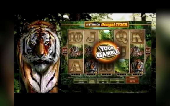725% Match bonus casino at Dunder Casino
