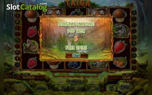 ﻿$545 Daily freeroll slot tournament at Bet At Home Casino