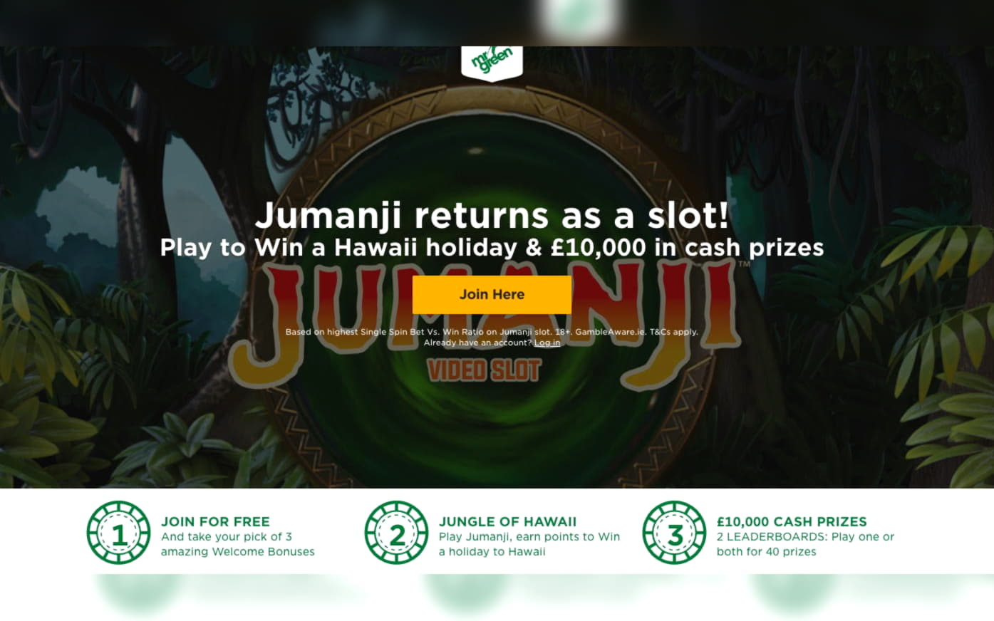 600% No Rules Bonus! at BGO Casino