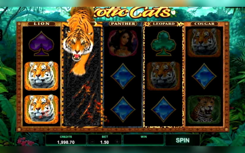 75 Trial Spins at Betnspin Casino