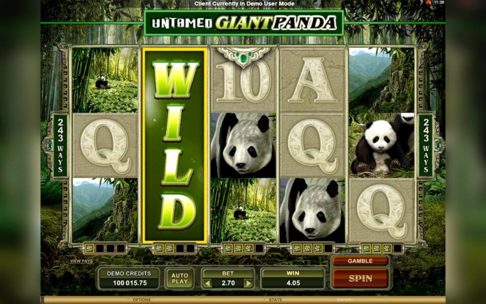 99 free casino spins at Leo Dubai Casino