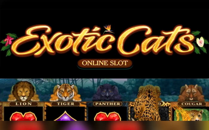 €100 Free chip casino at Slots Million Casino