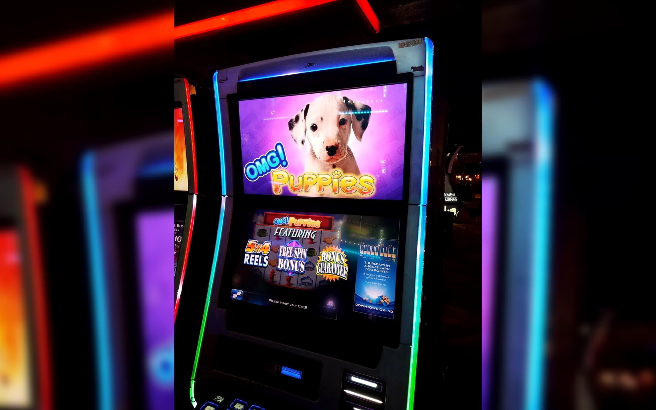 940% First deposit bonus at Leo Dubai Casino