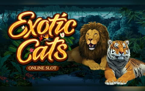 275 Free Spins no deposit casino at Online Bets Casino