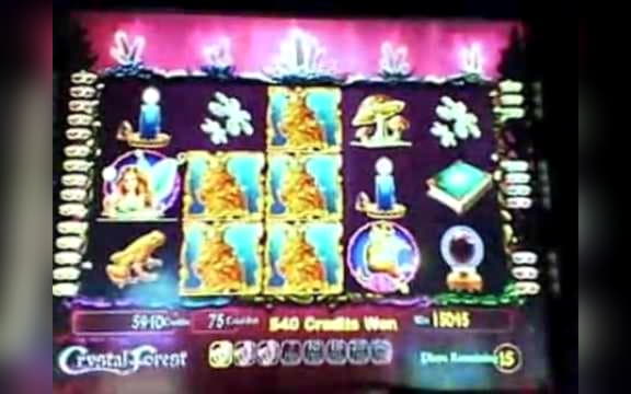 ﻿$4095 no deposit bonus code at Casino Cruise