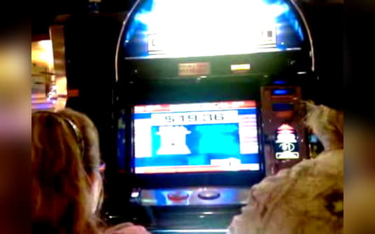 995% Deposit match bonus at Alf Casino